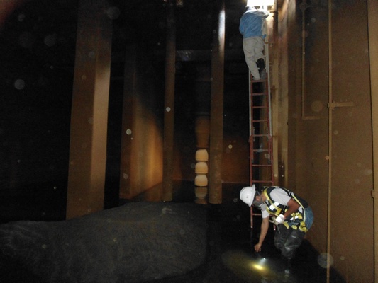 lorem ipsum dolor sit