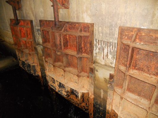 lorem ipsum dolor sit