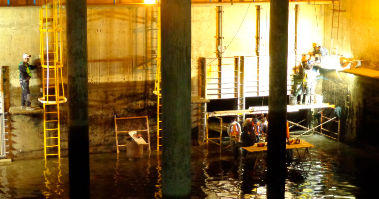 lorem ipsum dolor sit